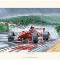 Rain Passenger (Michael Schumacher)