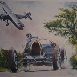 Bugatti Type 35 and Hawker Hector
