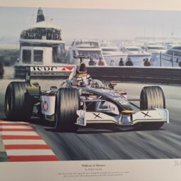 Wild Cats at Monaco (Eddie Irvine)