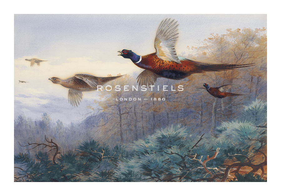 Pheasants in Flight