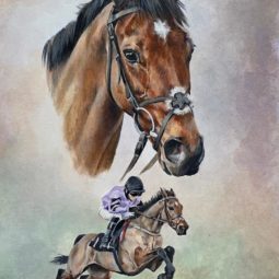 portrait of racehorse Stage Star and and action scene