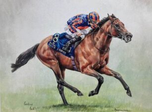 image of racehorse Paddington