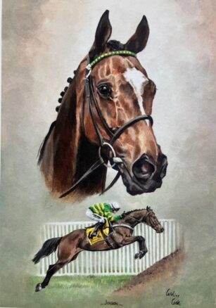 image of racehorse Jonbon