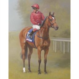 image of racehorse Soul Sister