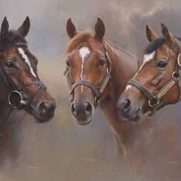 Lambourn, Australia and Galileo