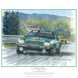 Big Cats in the Wood (1984 Spa)