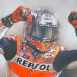 Marc Marquez - 2016 Moto GP World Champion