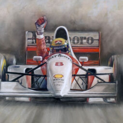 Ayrton Senna - Monaco 1993