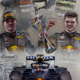 Max Verstappen - 2021 F1 World Champion