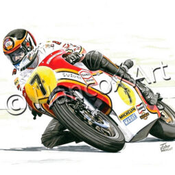 Barry Sheene (Suzuki)