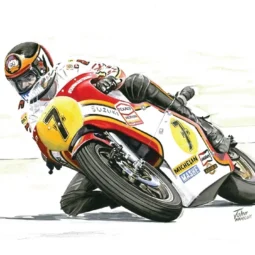 Barry Sheene (Suzuki)