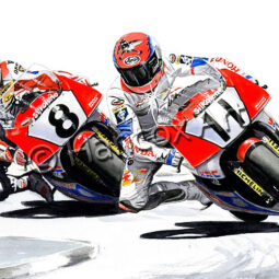 Steve Hislop and Carl Fogarty