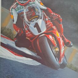 Superbike - Super Champion (Carl Fogarty)
