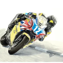 Bruce Anstey (Triumph)