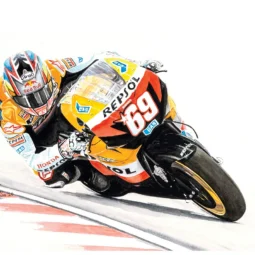 Nicky Hayden (Honda)